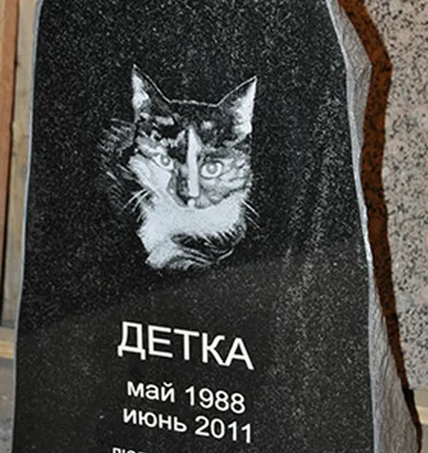 Памятники Памятники для животных